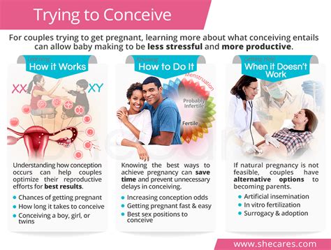 BFP stories: The month in hindsight – Trying to Conceive .